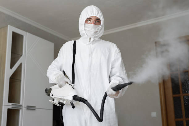 Best Asbestos and Lead Testing During Mold Inspection in USA